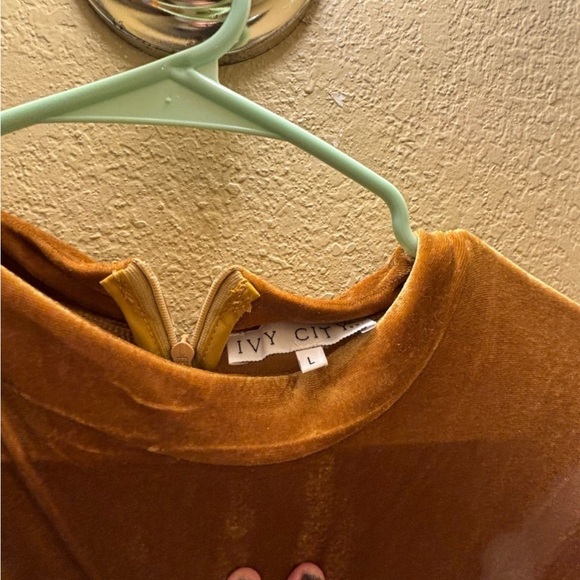 Ivy City Co Golden Velvet Long Sleeve Dress - Picture 4 of 4